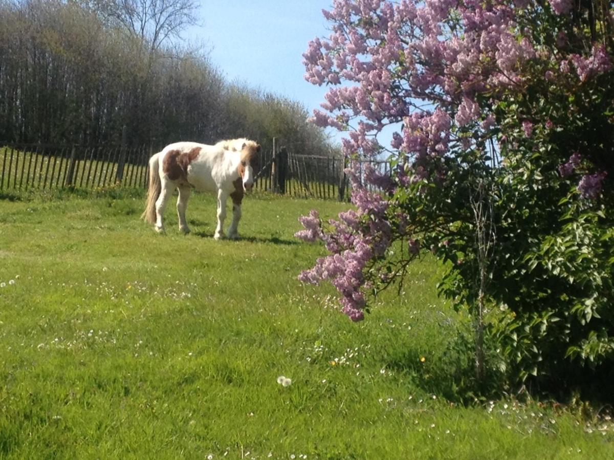 My Little Sweet Home Colombe  Exterior foto